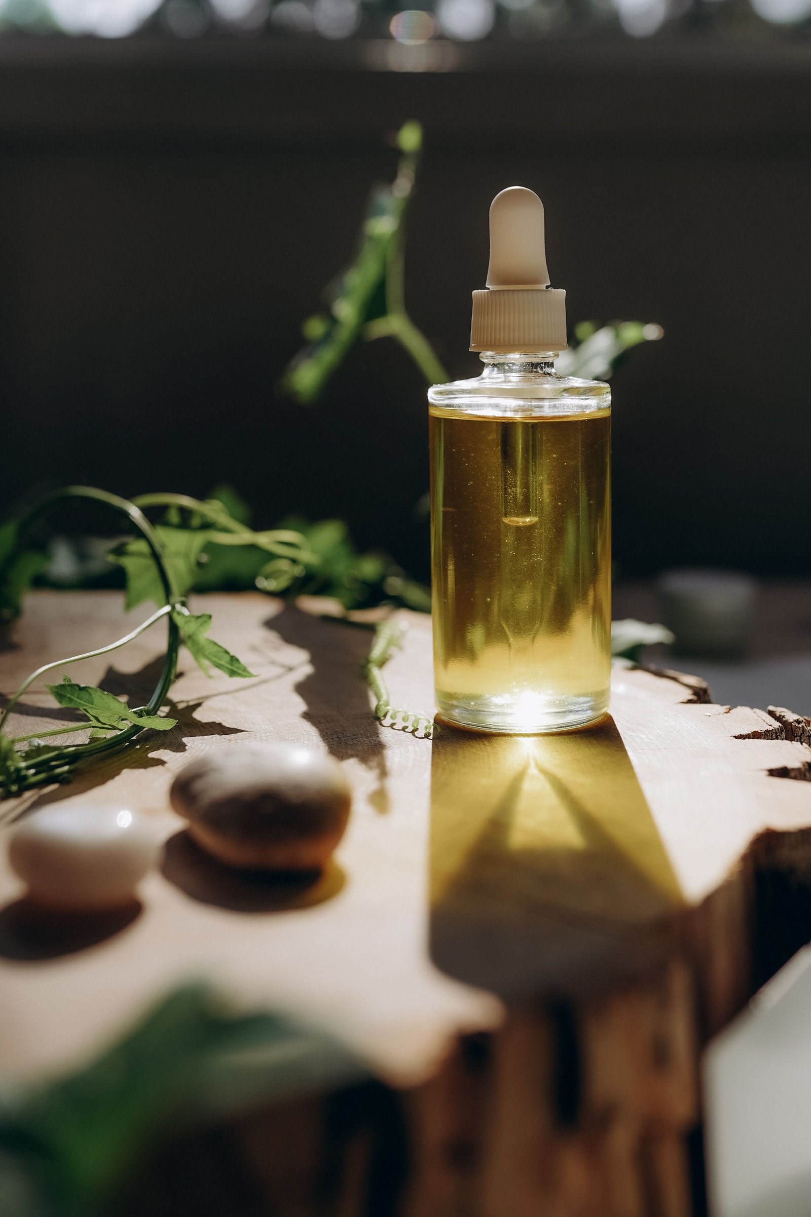 Dropper bottle of oregano oil surrounded by fresh oregano leaves